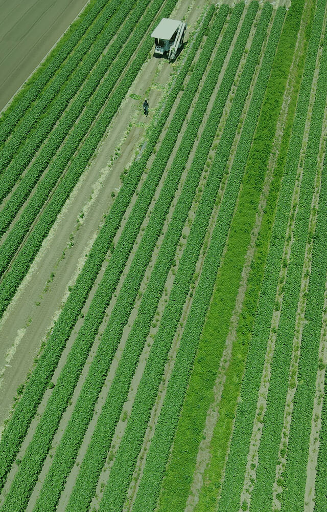 株式会社マルタケ|おいらせ町で美味しい青森野菜の農家
